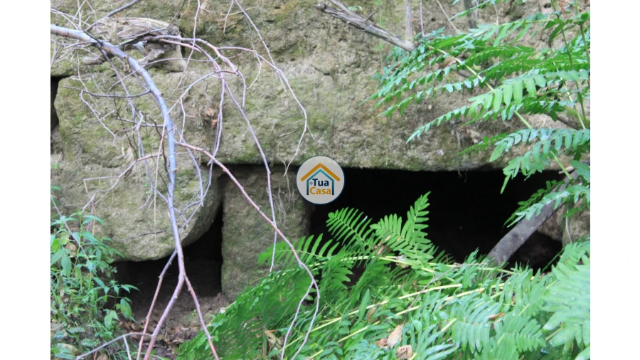 Quinta T5 para Venda em Silgueiros Foto 22