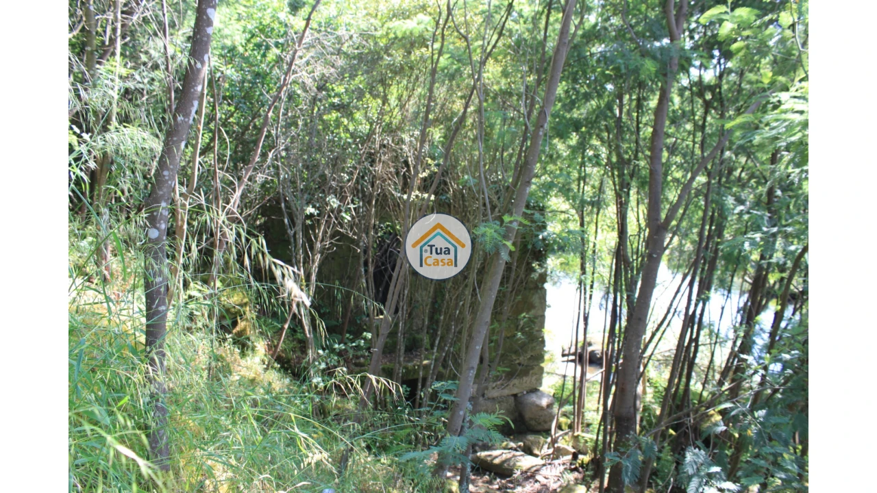 Quinta T5 para Venda em Silgueiros Foto 20