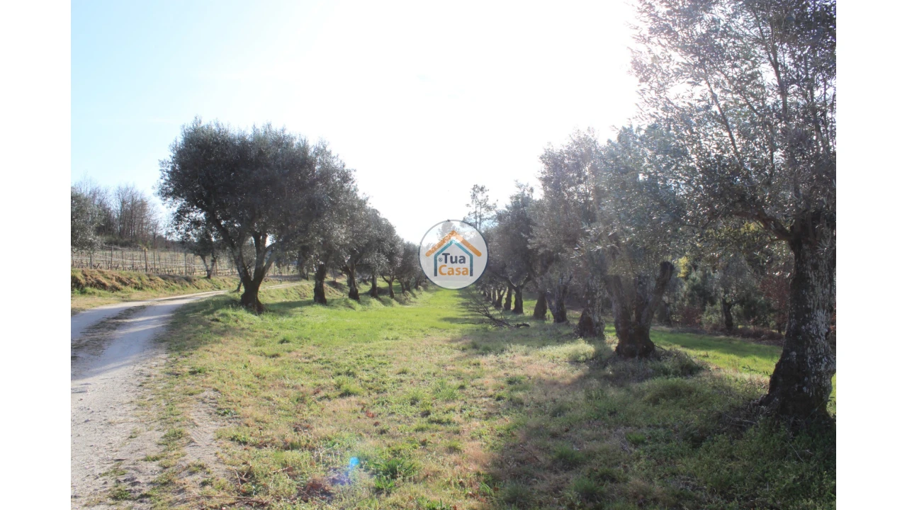 Quinta T5 para Venda em Silgueiros Foto 13