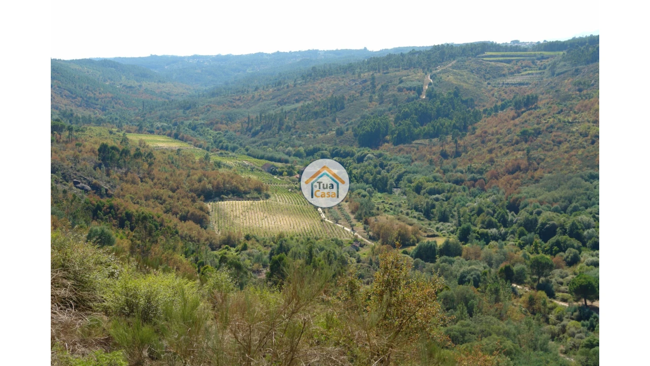 Quinta T5 para Venda em Silgueiros Foto 6