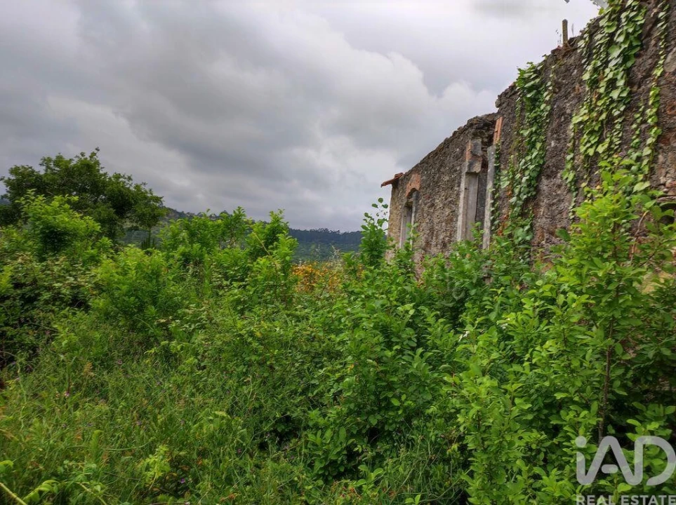 Terreno para Venda em Colmeias e Memória Foto 20