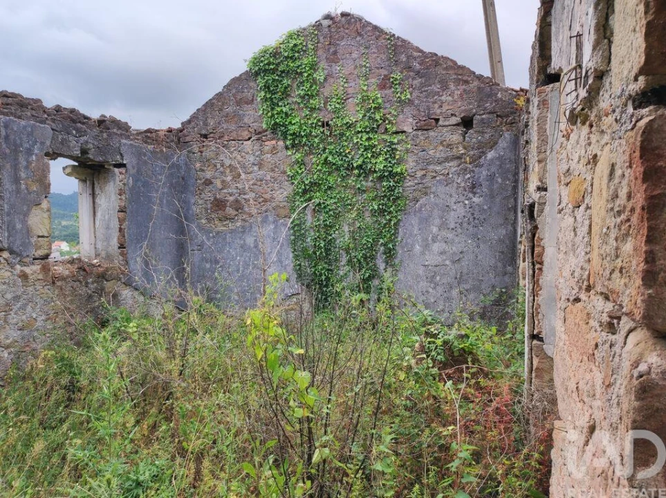 Terreno para Venda em Colmeias e Memória Foto 27