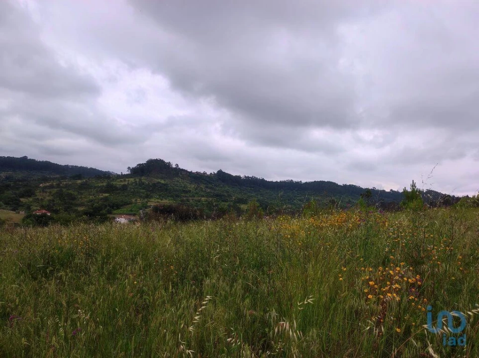 Terreno para Venda em Colmeias e Memória Foto 15