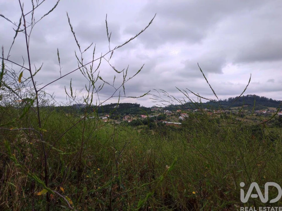 Terreno para Venda em Colmeias e Memória Foto 18