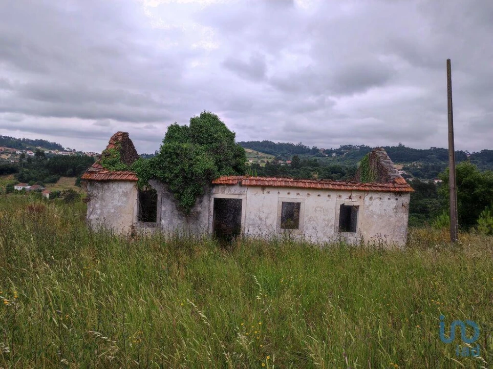 Terreno para Venda em Colmeias e Memória Foto 1