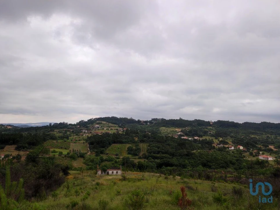 Terreno para Venda em Colmeias e Memória Foto 4