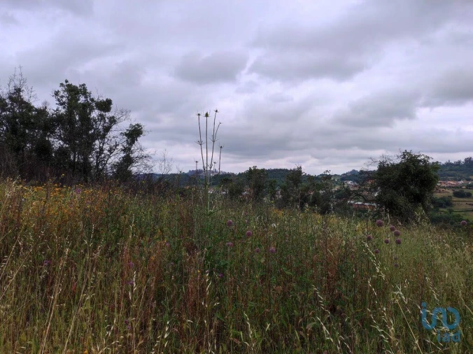 Terreno para Venda em Colmeias e Memória Foto 14