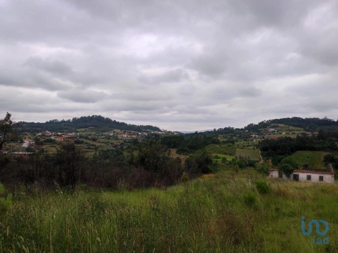 Terreno para Venda em Colmeias e Memória Foto 8