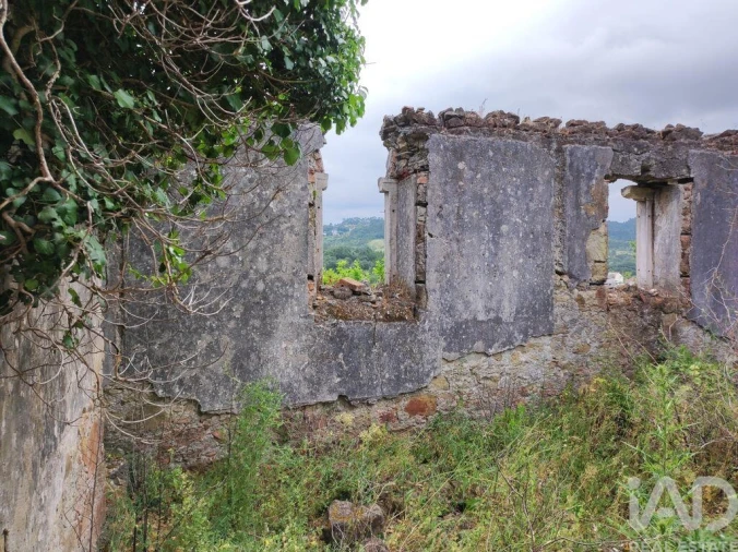 Terreno para Venda em Colmeias e Memória Foto 23