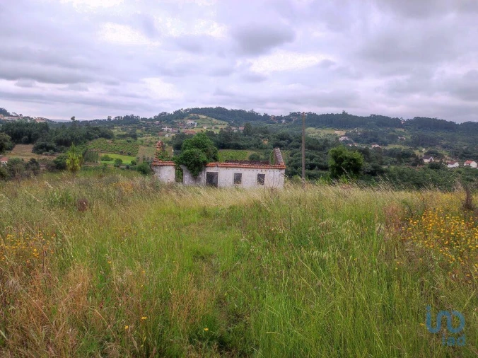 Terreno para Venda em Colmeias e Memória Foto 12