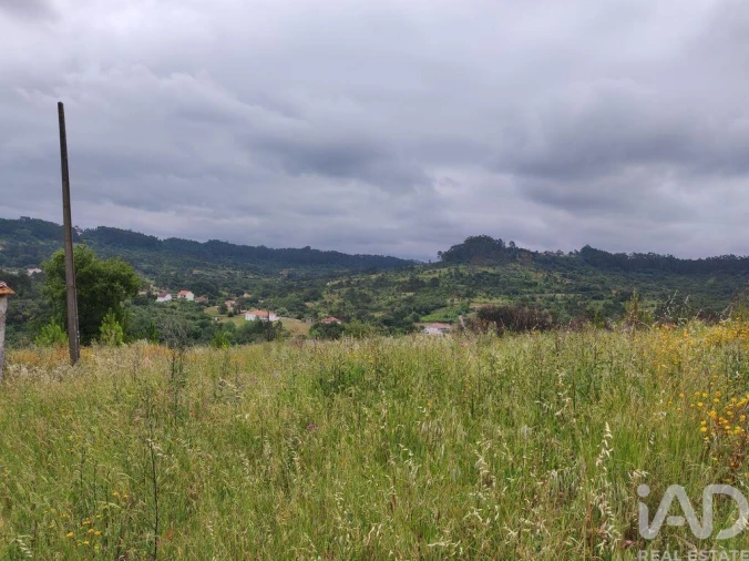 Terreno para Venda em Colmeias e Memória Foto 28