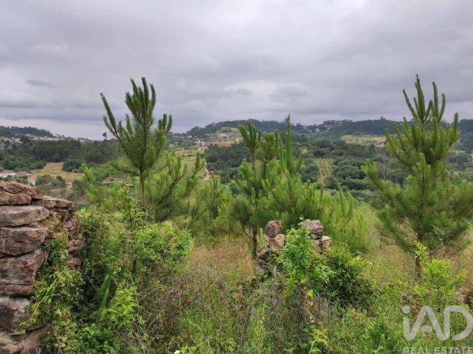 Terreno para Venda em Colmeias e Memória Foto 21