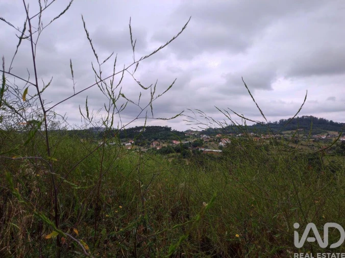 Terreno para Venda em Colmeias e Memória Foto 18