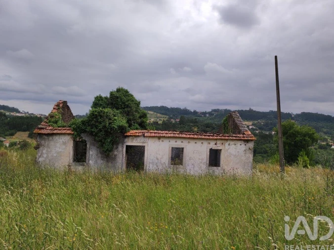Terreno para Venda em Colmeias e Memória Foto 29