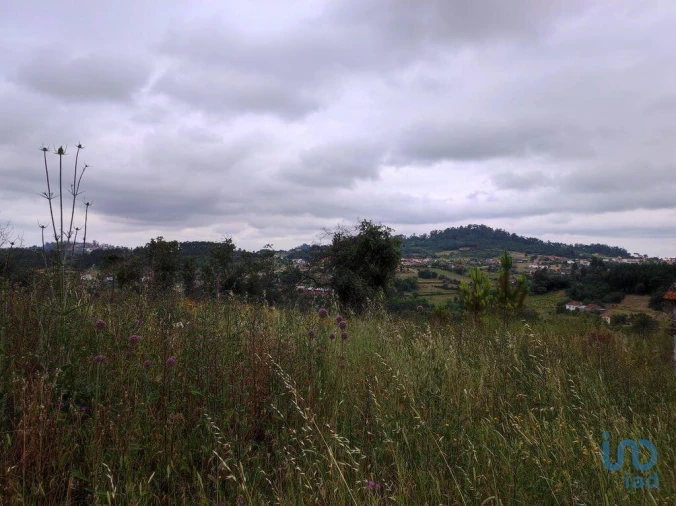 Terreno para Venda em Colmeias e Memória Foto 13