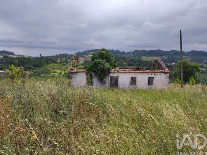 Terreno para Venda em Colmeias e Memória Foto 26