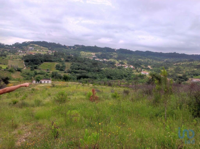 Terreno para Venda em Colmeias e Memória Foto 5
