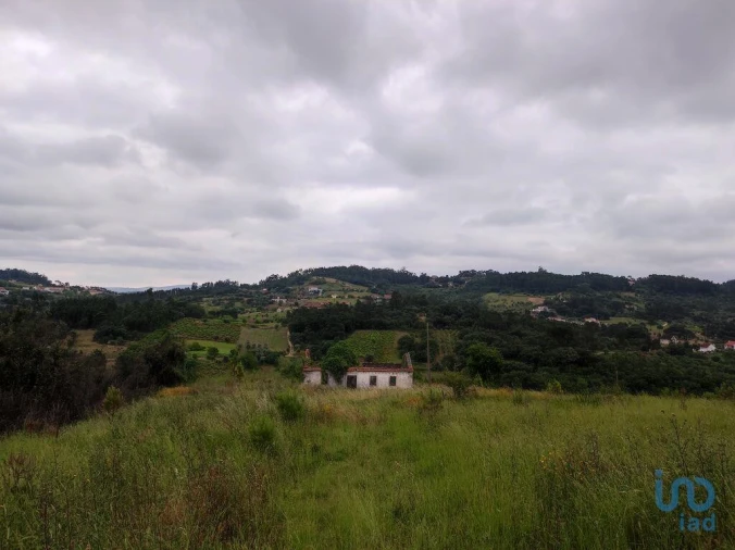 Terreno para Venda em Colmeias e Memória Foto 7