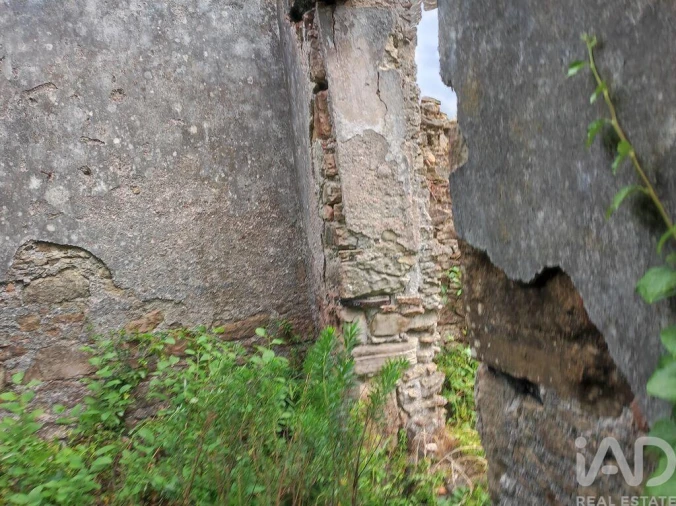 Terreno para Venda em Colmeias e Memória Foto 24