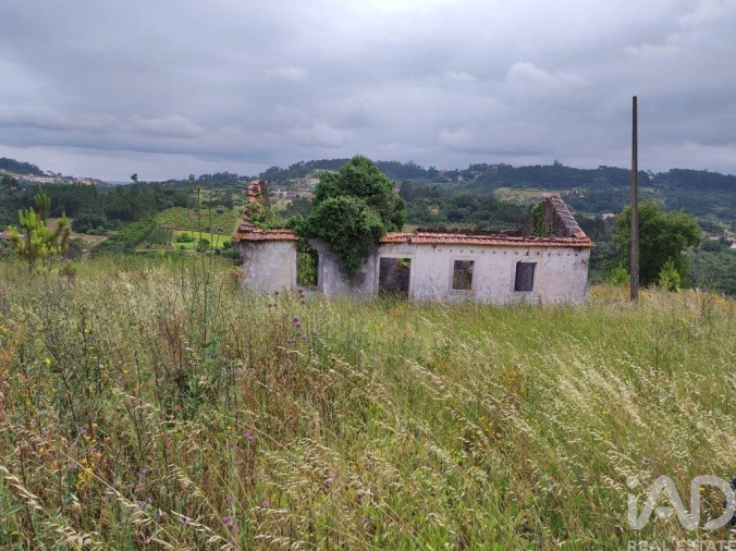 Terreno para Venda em Colmeias e Memória Foto 25