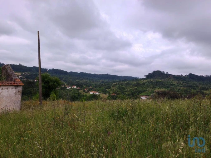 Terreno para Venda em Colmeias e Memória Foto 11