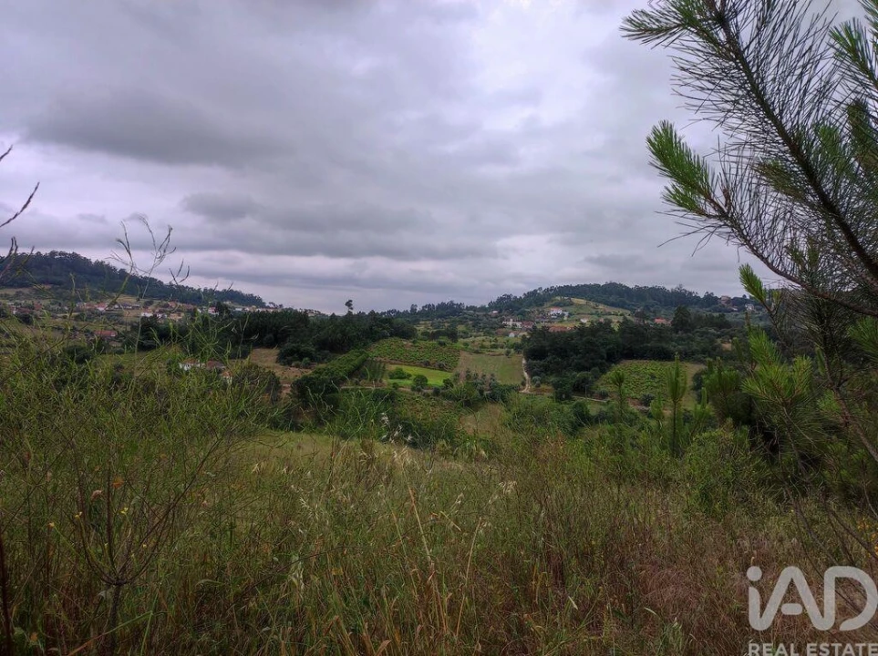 Terreno para Venda em Colmeias e Memória Foto 17