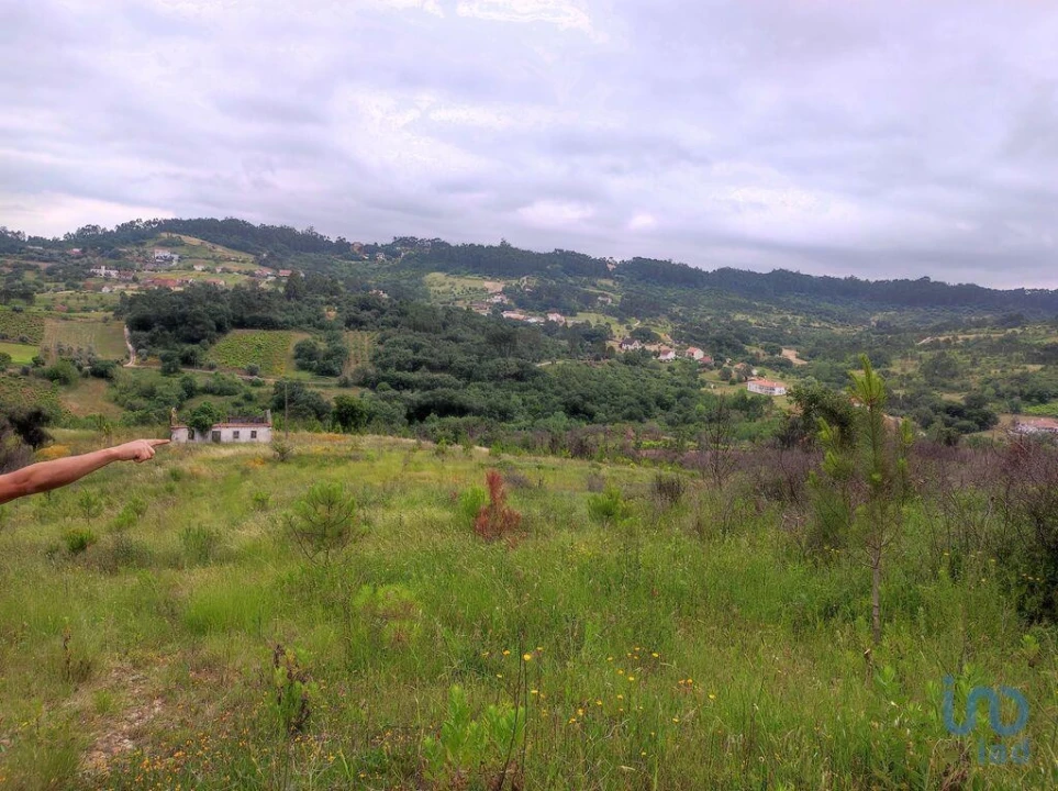Terreno para Venda em Colmeias e Memória Foto 5