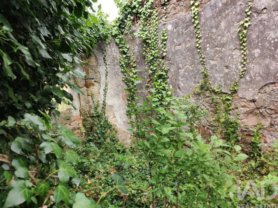 Terreno para Venda em Colmeias e Memória Foto 22