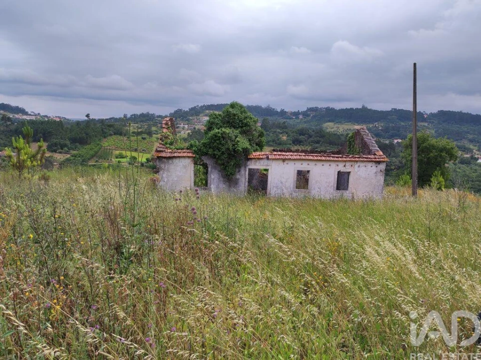 Terreno para Venda em Colmeias e Memória Foto 25