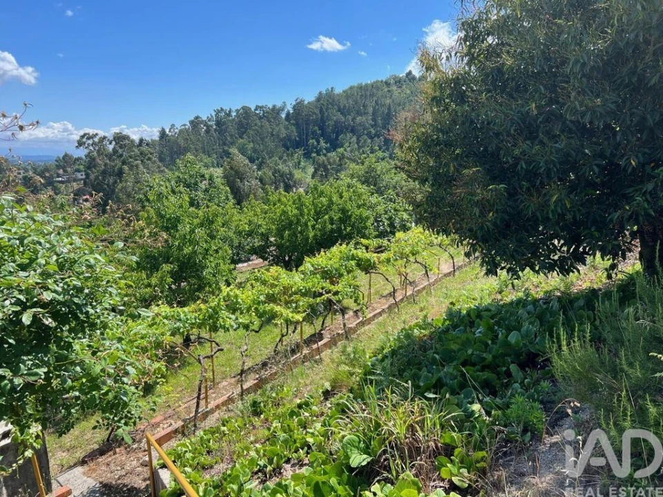 Moradia T3 para Venda em Santiago de Besteiros Foto 19