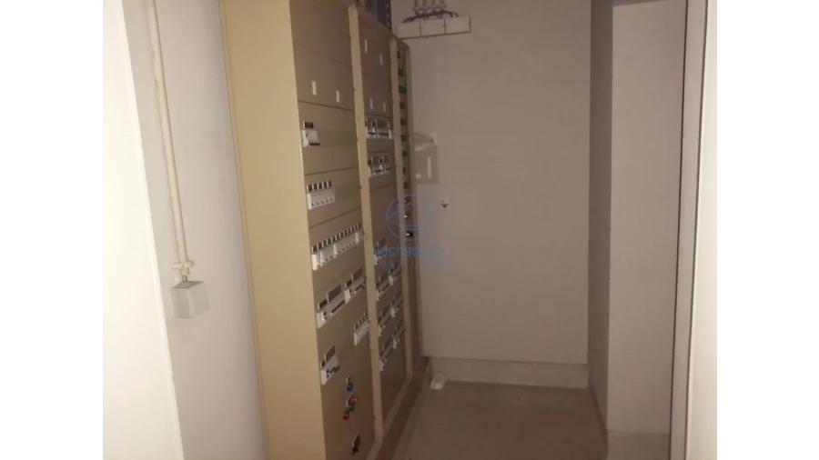 Negócio para Venda em Paranhos Foto 10