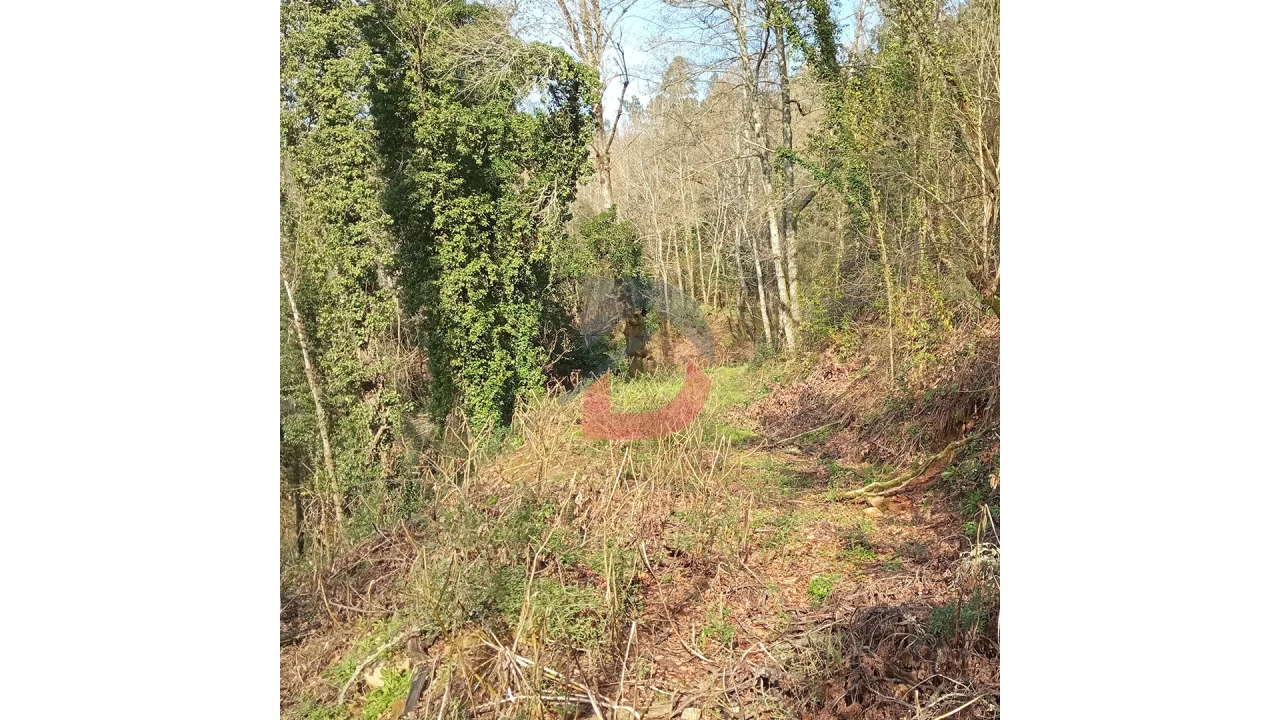 Terreno para Venda em Travanca Foto 11