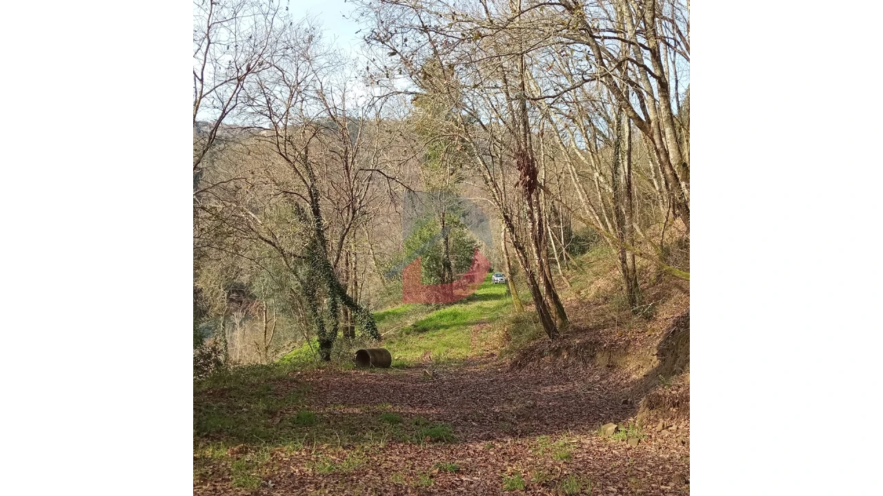Terreno para Venda em Travanca Foto 13