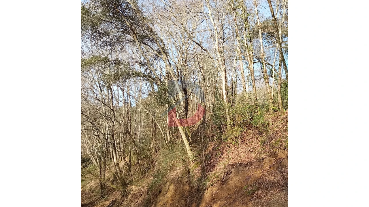 Terreno para Venda em Travanca Foto 9