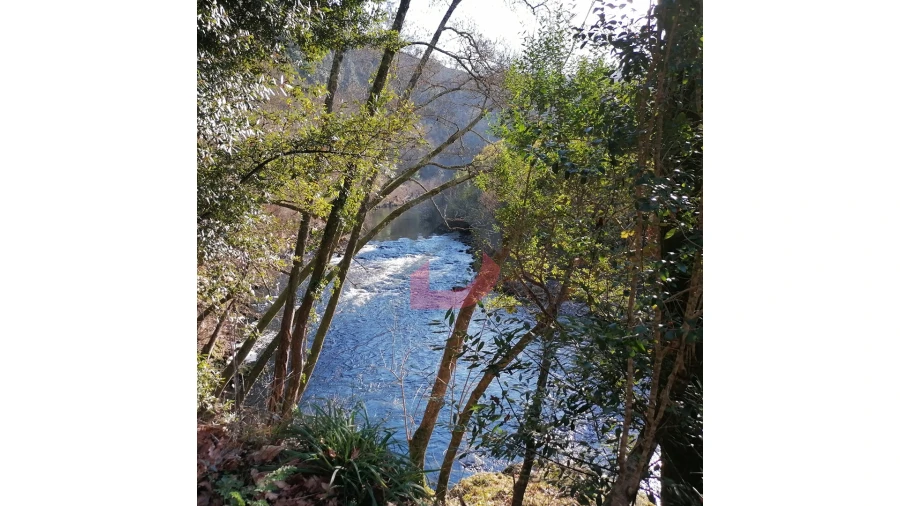Terreno para Venda em Travanca Foto 1