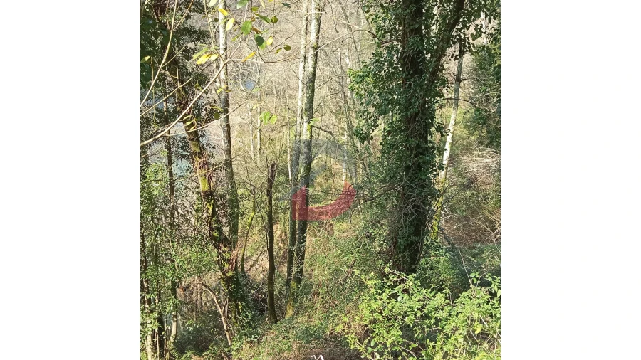 Terreno para Venda em Travanca Foto 10