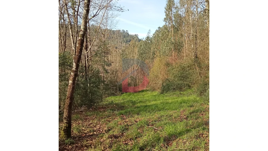 Terreno para Venda em Travanca Foto 14