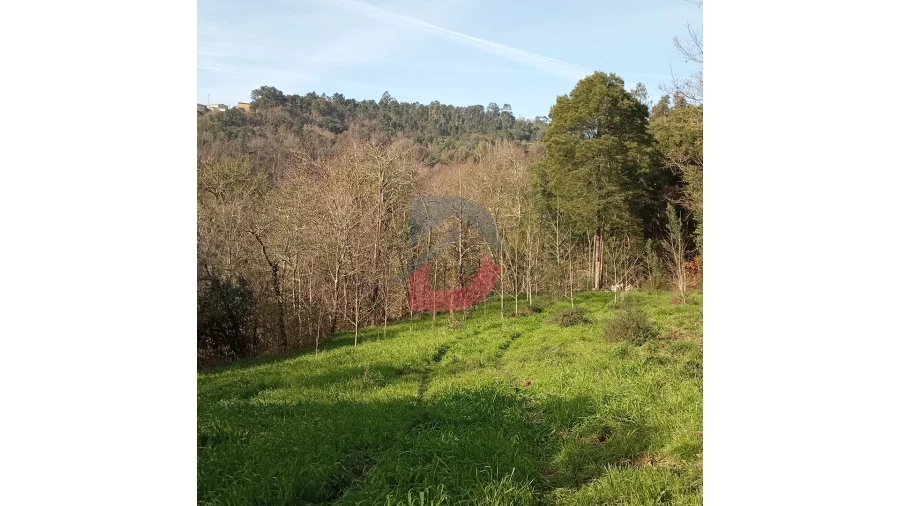 Terreno para Venda em Travanca Foto 17