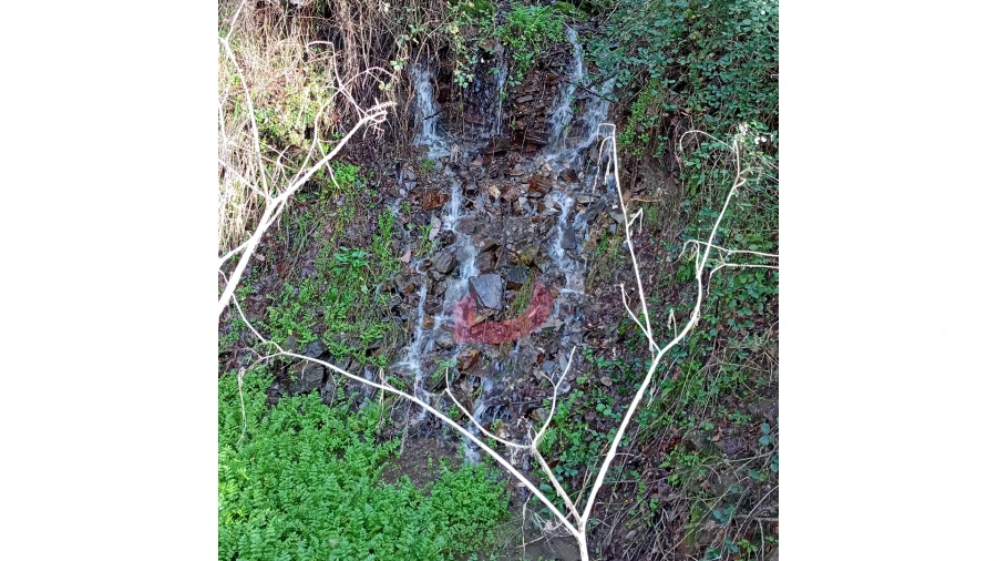 Terreno para Venda em Travanca Foto 8