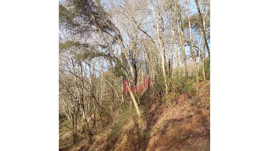 Terreno para Venda em Travanca Foto 9