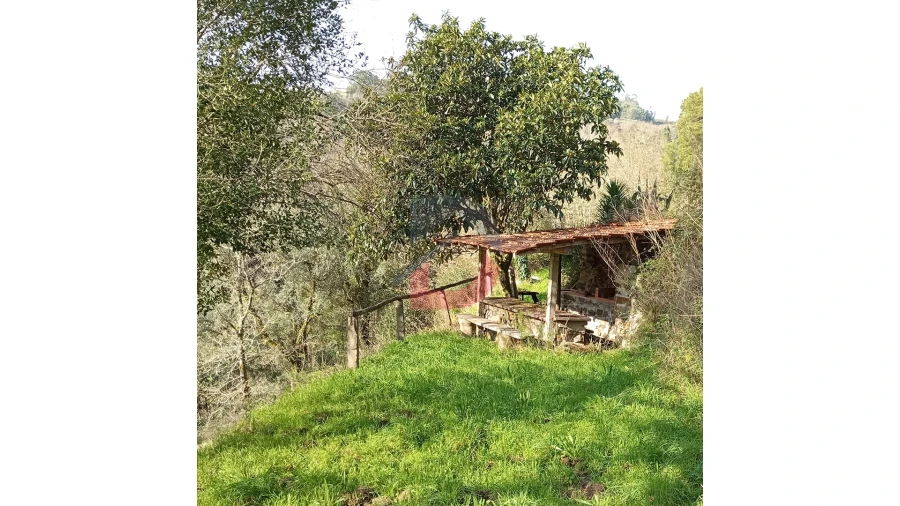 Terreno para Venda em Travanca Foto 2