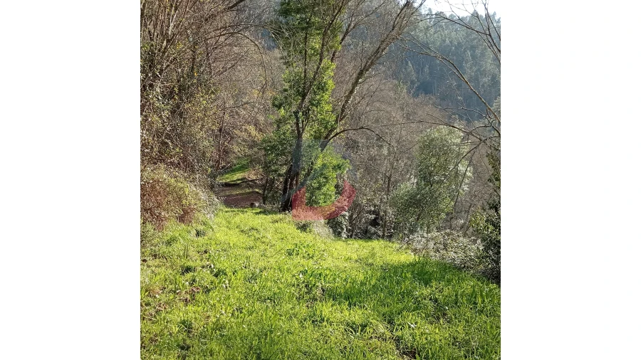 Terreno para Venda em Travanca Foto 4