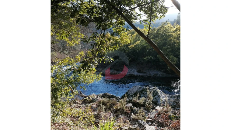 Terreno para Venda em Travanca Foto 6