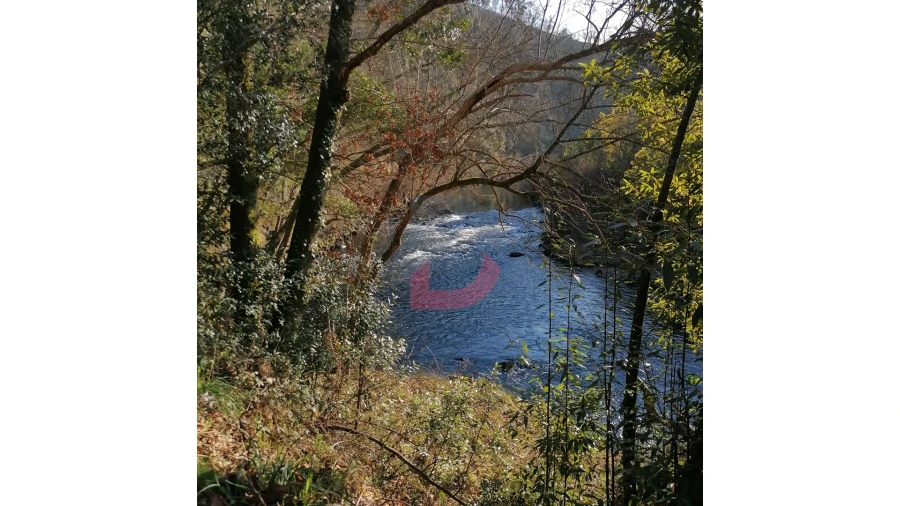 Terreno para Venda em Travanca Foto 5