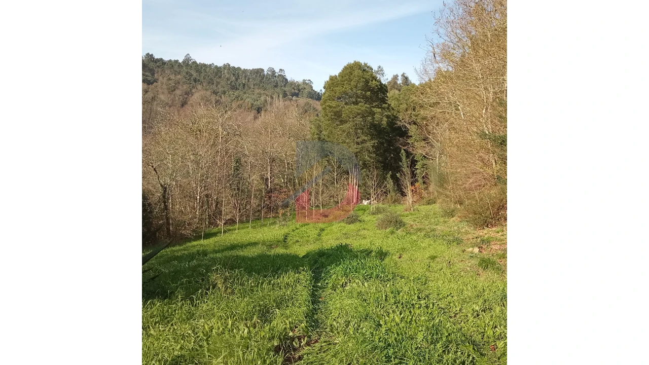 Terreno para Venda em Travanca Foto 3