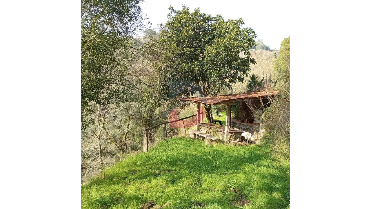 Terreno para Venda em Travanca Foto 2