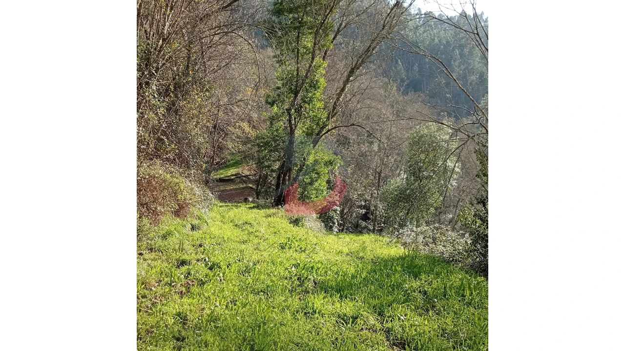 Terreno para Venda em Travanca Foto 4