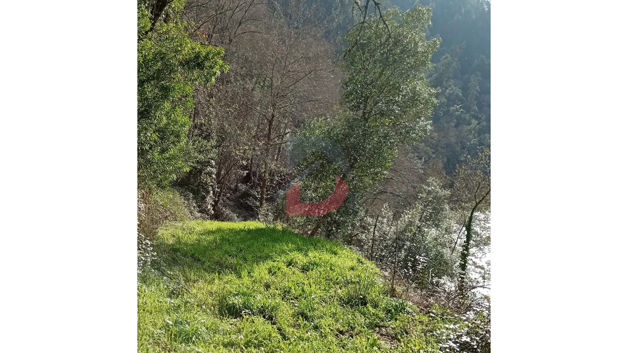 Terreno para Venda em Travanca Foto 7