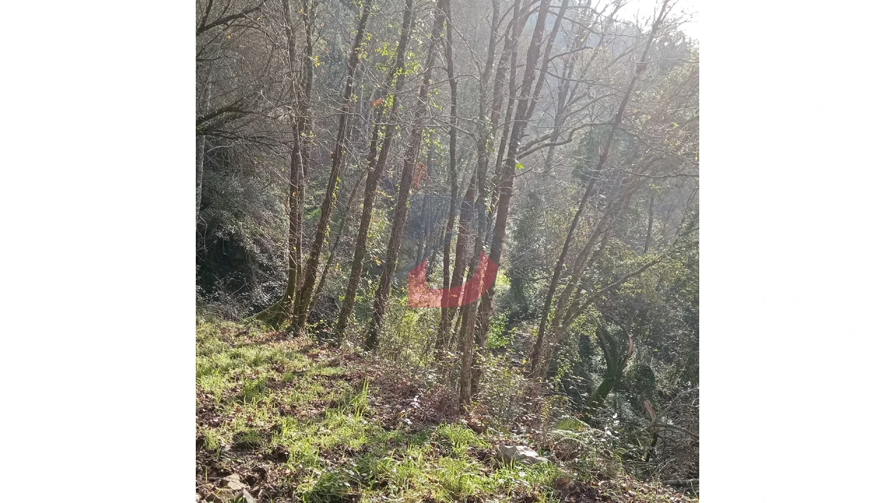 Terreno para Venda em Travanca Foto 15