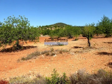 Quinta T3 para Venda em Conceição e Estoi